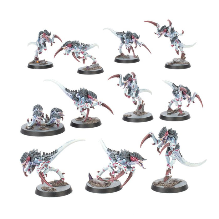 Warhammer Kill Team - Typhon