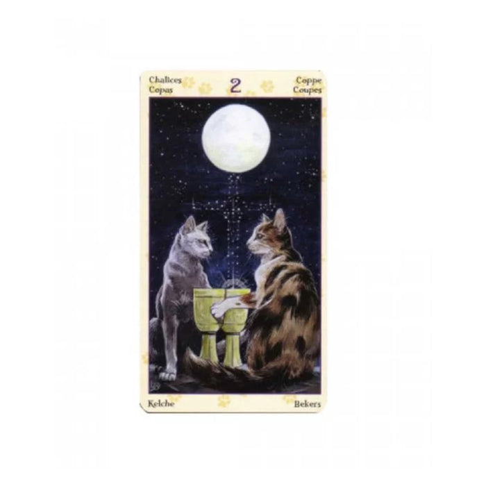 Carti de tarot - Mini Tarot Pagan Cats