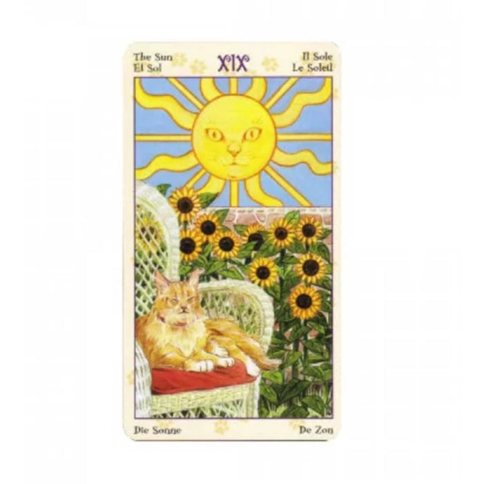 Carti de tarot - Mini Tarot Pagan Cats