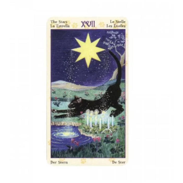 Carti de tarot - Mini Tarot Pagan Cats