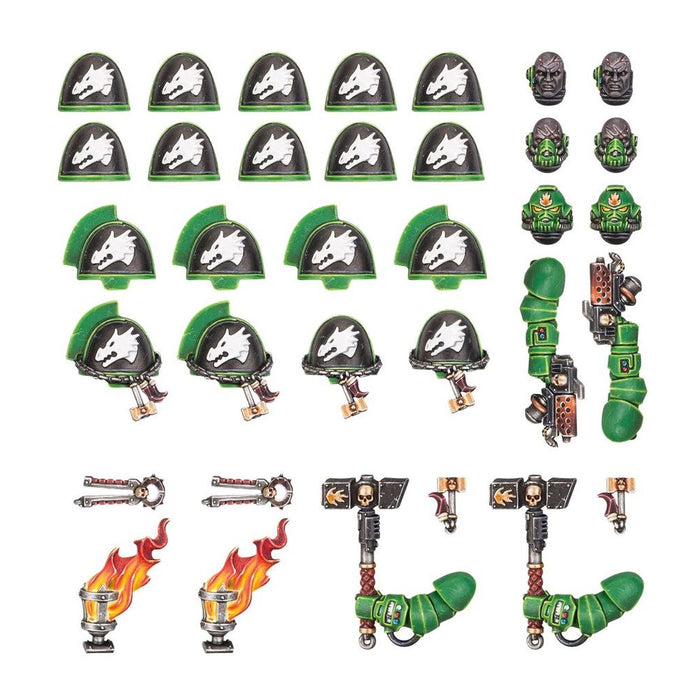 Warhammer Salamanders Primaris - Upgrades and Transfers