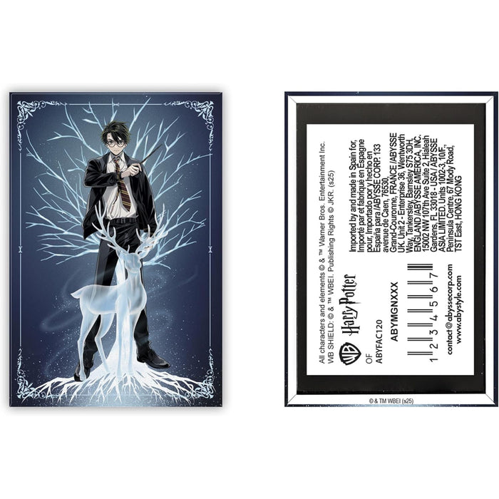 Magnet Standard Harry Potter - Harry Patronus