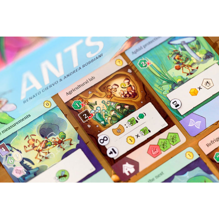 Ants
