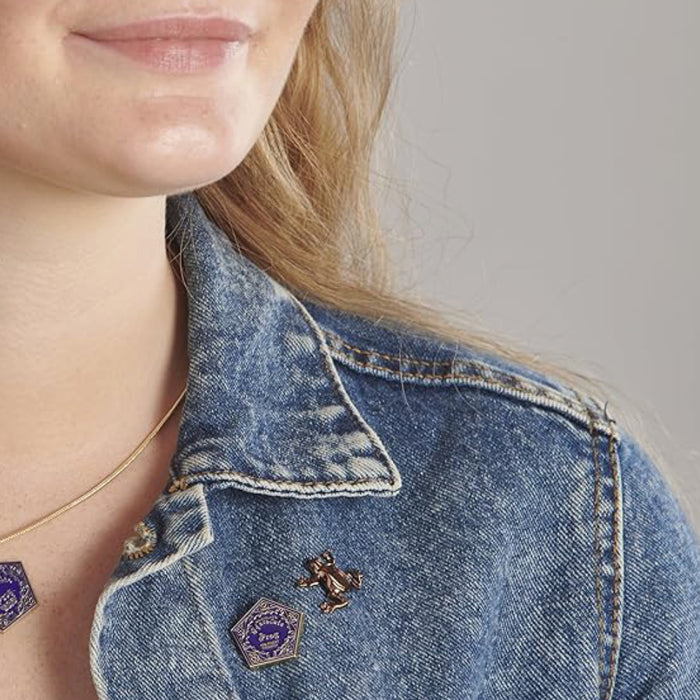 Set 2 Insigne Harry Potter - Chocolate Frog