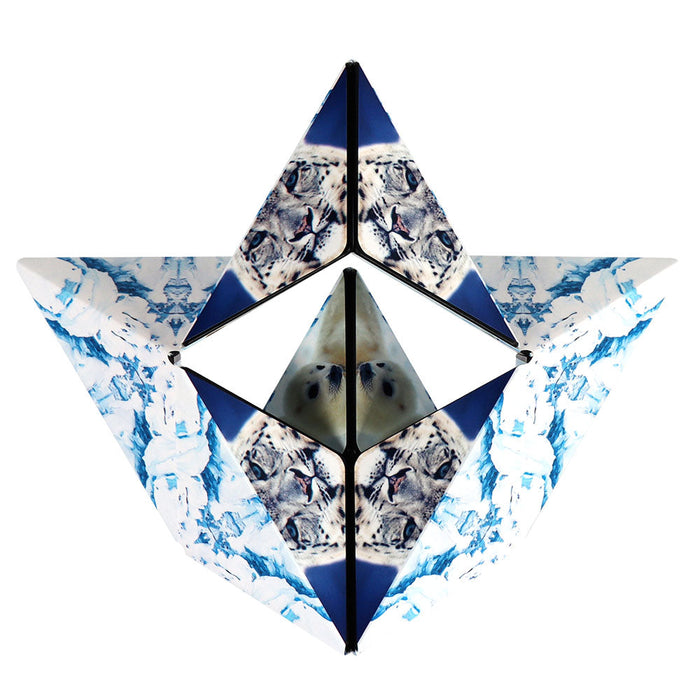 Shashibo - Arctic
