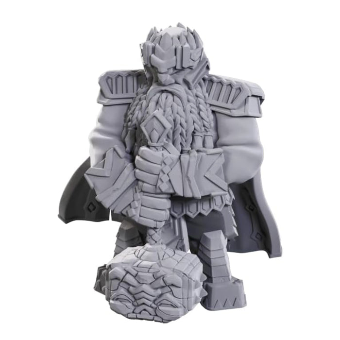Miniatura Nepictata Pathfinder Deep Cuts - Male Dwarf Champion High-Level