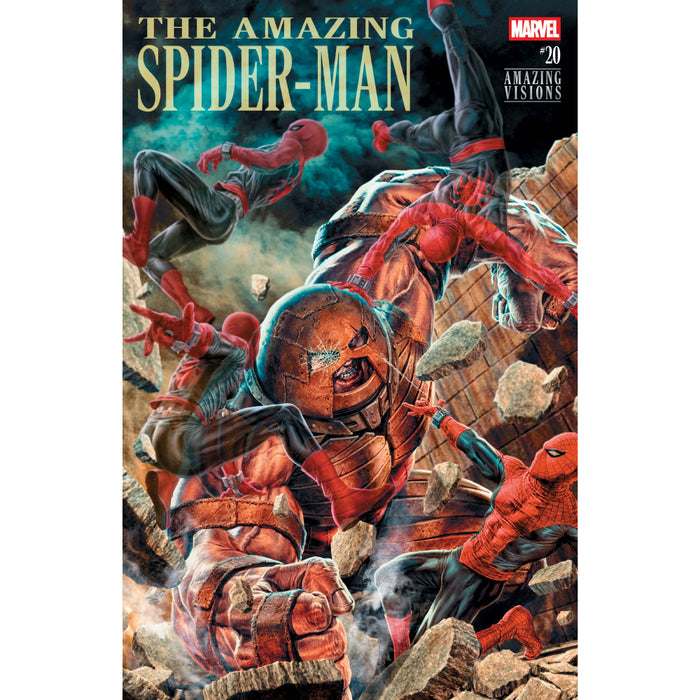 Amazing Spider-Man (2025) 20 Cover B Lee Bermejo