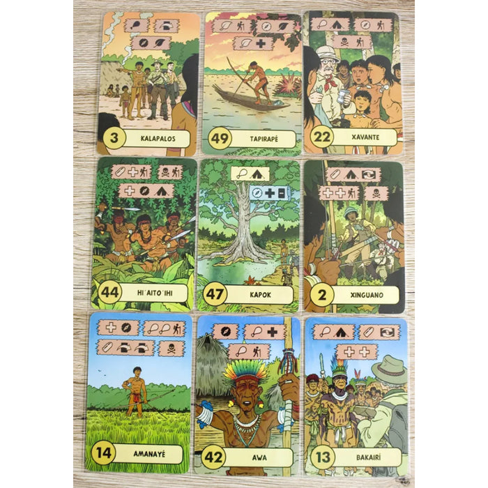 The Lost Expedition