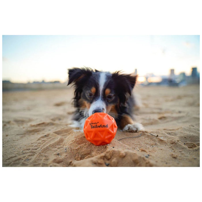 Minge superelastica pentru caini - Waboba Tailwind