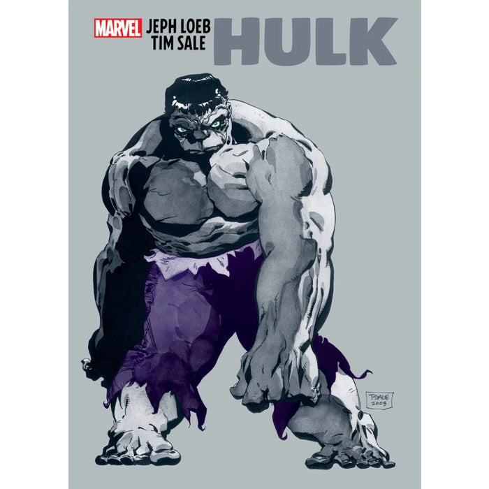 Jeph Loeb & Tim Sale Hulk TP