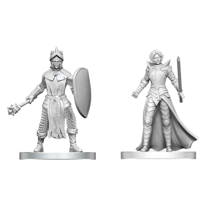 Miniaturi Nepictate D&D Nolzur's Marvelous - Black Gauntlet & Zhentilar Paladin