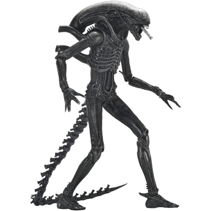 Figurina Articulata Alien Romulus - Ultimate Xenomorph XX121 18 cm