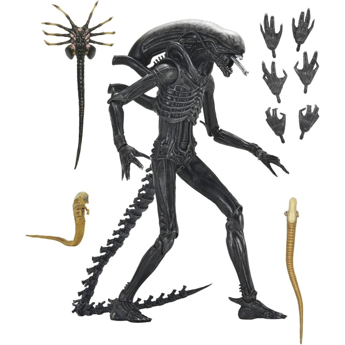 Figurina Articulata Alien Romulus - Ultimate Xenomorph XX121 18 cm