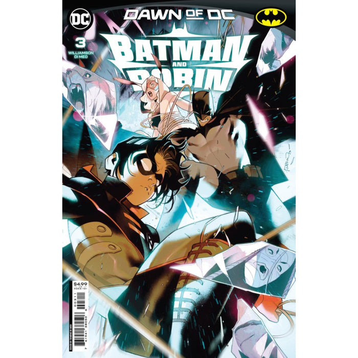 Batman and Robin (2023) 03