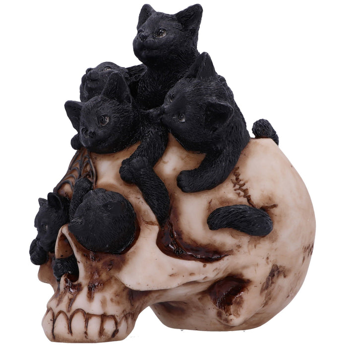 Figurina Skull Cranial Litter