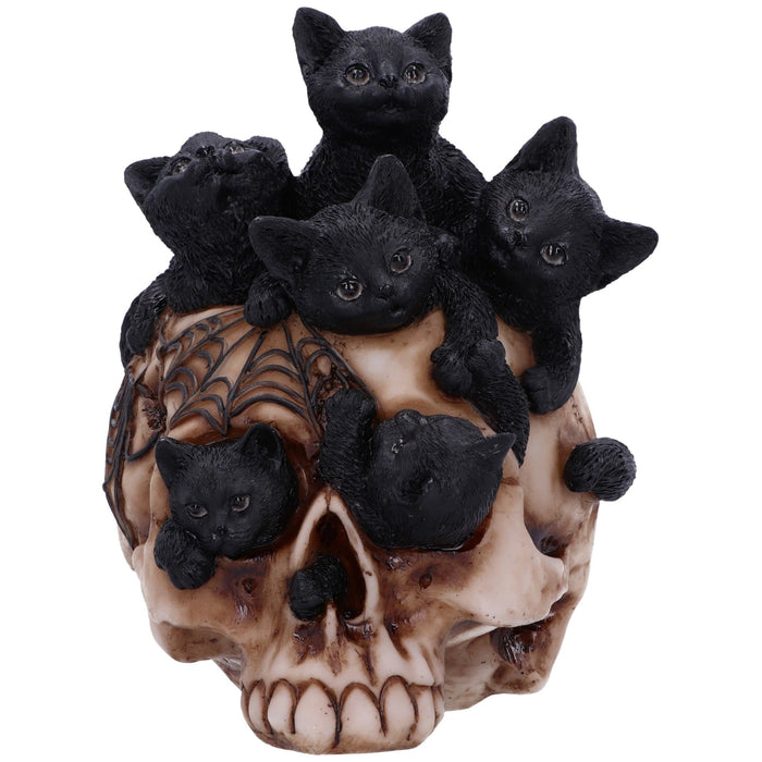 Figurina Skull Cranial Litter