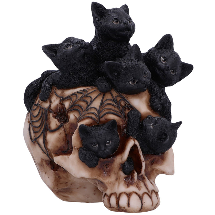 Figurina Skull Cranial Litter