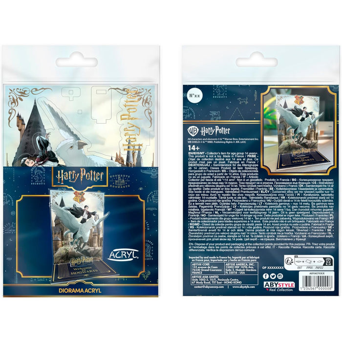 Figurina Acrilica Harry Potter - Diorama - Harry & Buck in Hogwarts