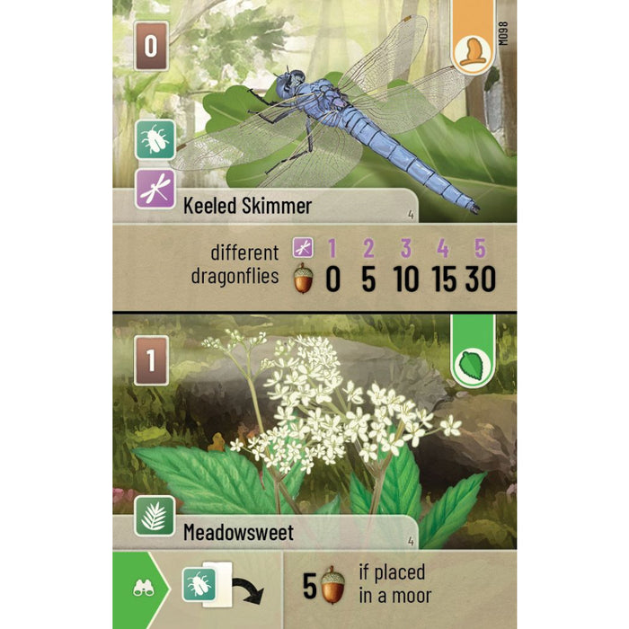 Forest Shuffle - Dartmoor