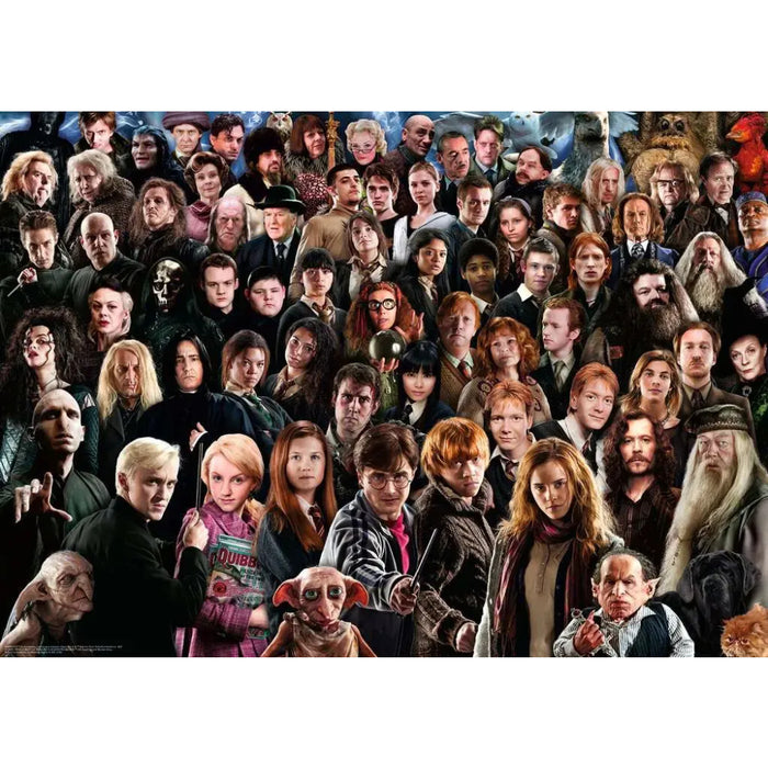 Puzzle Harry Potter Challenge 1000 piese