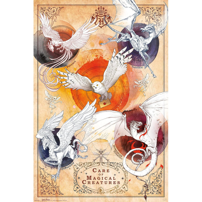 Poster Maxi Harry Potter - 91.5x61 FSC Mix - Magical Creatures