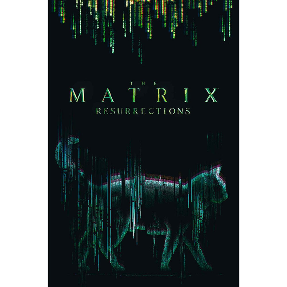 Poster Maxi The Matrix -91.5x61 - Cat — Red Goblin