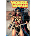 Wonder Woman 80 Year Amazon Warrior Dlx Ed HC - Red Goblin