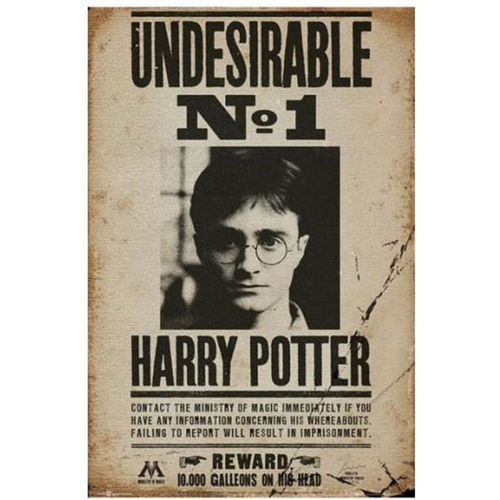 Poster Harry Potter - Undesirable nr 1 (91.5x61) - Red Goblin