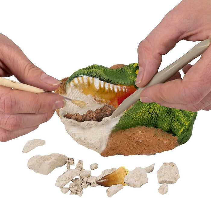 Set National Geographic - Dino Fossil - Dig Kit - Red Goblin