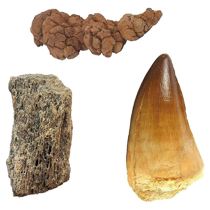 Set National Geographic - Dino Fossil - Dig Kit - Red Goblin