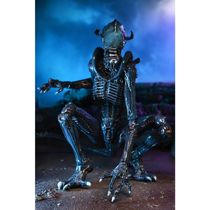 Figurina Articulata Alien vs Predator - 7 inch Scale - Arachnoid Alien (Movie Deco) - Red Goblin