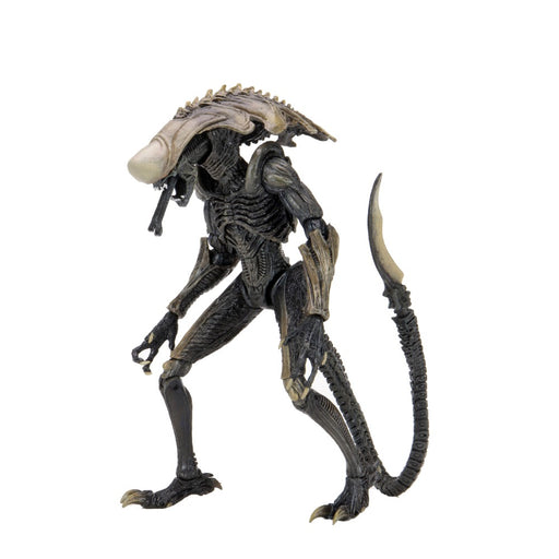 Figurina Articulata Alien vs Predator - 7 inch Scale - Chrysalis Alien (Movie Deco) - Red Goblin
