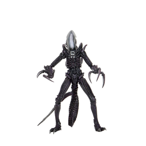 Figurina Articulata Alien vs Predator - 7 inch Scale - Razor Claws Alien (Movie Deco) - Red Goblin
