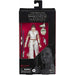 Figurina Articulata Star Wars 6in E9 Black Series Rey & D-O - Red Goblin