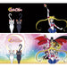 Cana Heat Change Sailor Moon - 460 ml - Group - Red Goblin