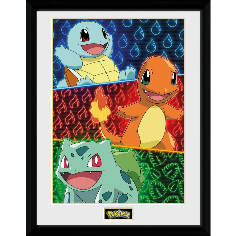Poster cu Rama Pokemon - Starters — Red Goblin