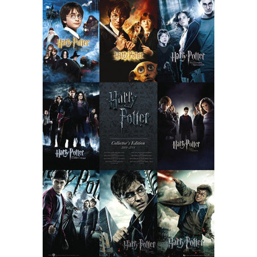 Poster Maxi Harry Potter - 91.5x61 - Collection - Red Goblin