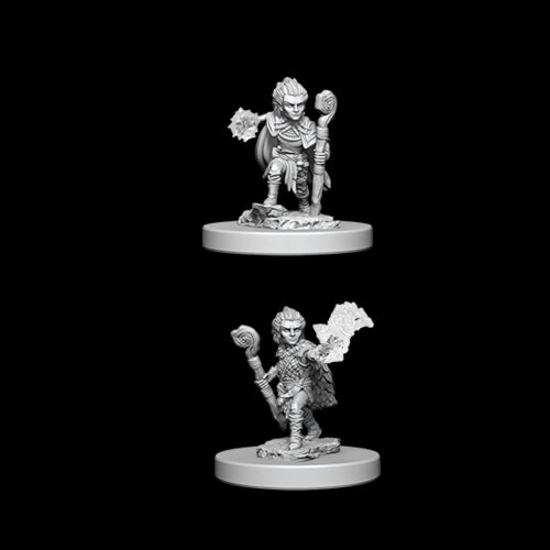 Pathfinder Unpainted Miniatures: Gnome Male Druid - Red Goblin