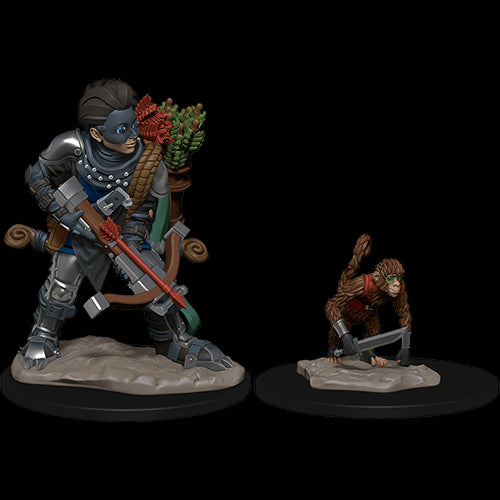 D&D Wardlings: Boy Rogue & Monkey - Red Goblin