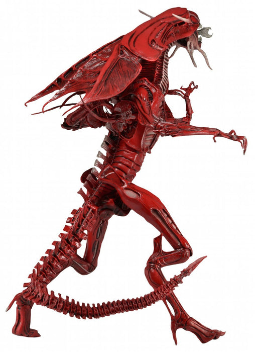 Aliens - Ultra Deluxe Action Figure Genocide Red Queen 38 cm - Red Goblin