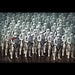 Star Wars The Force Awakens - Stormtrooper Army Maxi Poster - Red Goblin