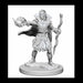 Pathfinder Unpainted Miniatures: Elf Male Sorcerer - Red Goblin