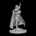 Pathfinder Unpainted Miniatures: Human Female Rogue - Red Goblin