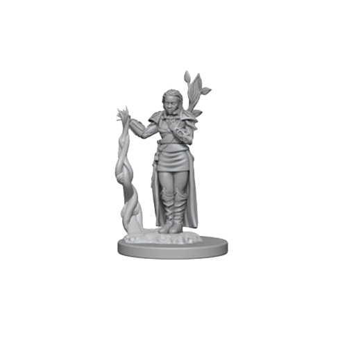 D&D Nolzur's Marvelous Unpainted Miniatures: Human Female Druid - Red Goblin