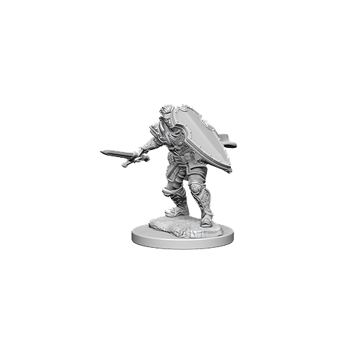 D&D Nolzur's Marvelous Unpainted Miniatures: Human Male Paladin - Red Goblin