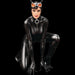 Figurina: DC Comics Catwoman Artfx - Red Goblin