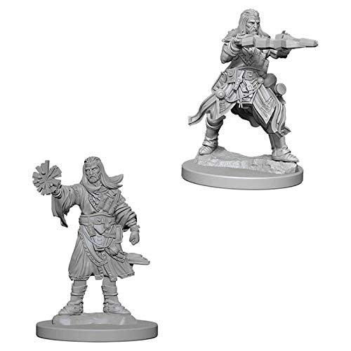 Pathfinder Unpainted Miniatures: Male Human Wizard - Red Goblin