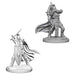 Pathfinder Unpainted Miniatures: Female Knights/Gray Maidens - Red Goblin